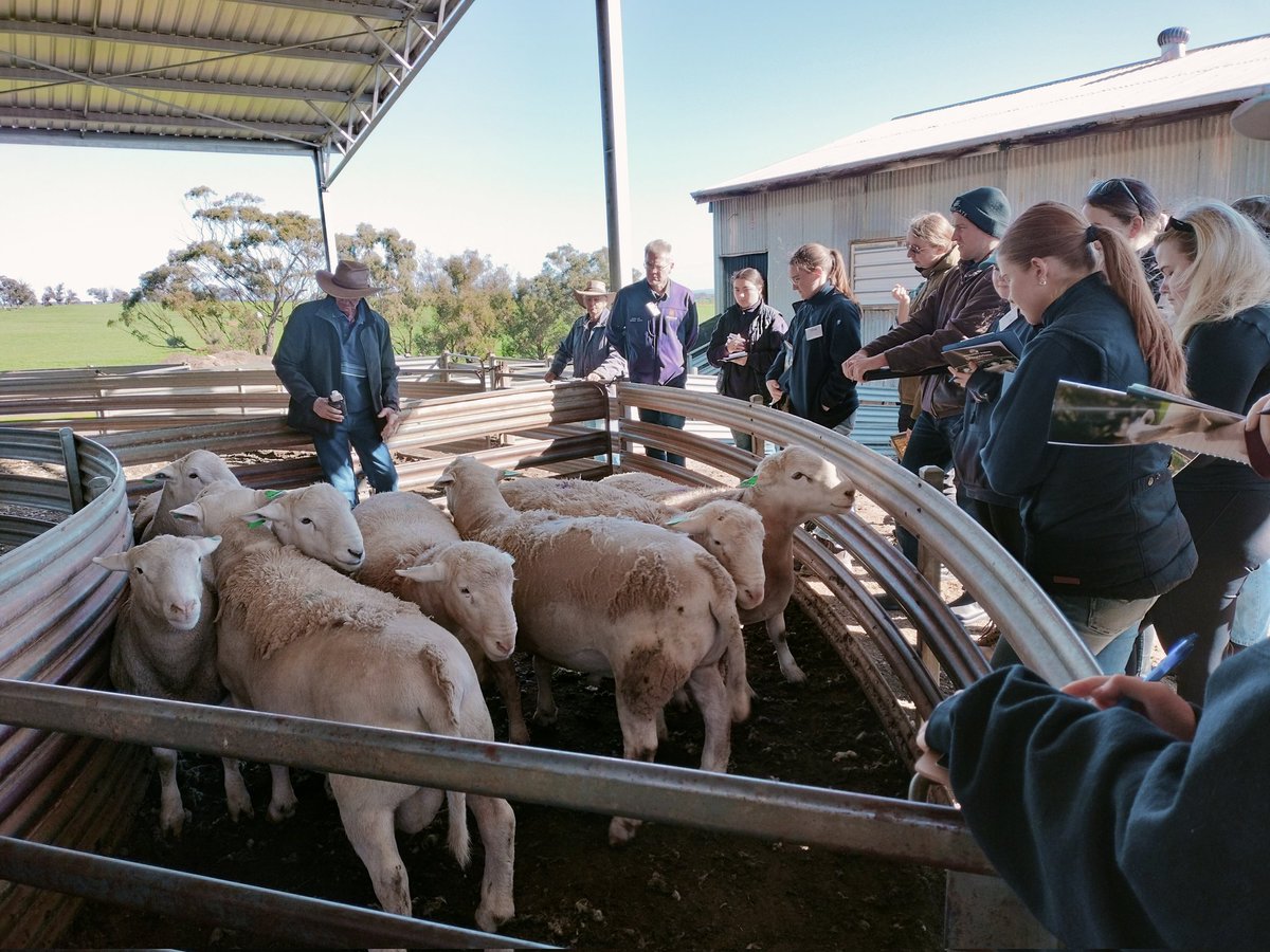 Last week we headed South for our annual Industry tour <a href="/MurdochUni/">Murdoch University</a>. Once again it was a great success!  We are very grateful  to the 16+ hosts for taking the time to show us their operations and chat all things livestock! Thanks also to <a href="/woolinnovation/">Australian Wool Innovation</a>  for making this possible.