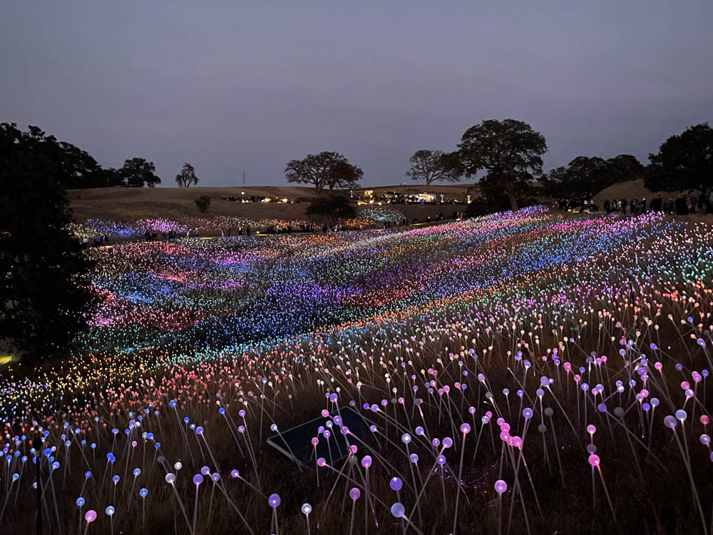 xxidergisi's tweet photo. @ArzuEralp XXI için yazdı 
Munro’nun Işık Tarlasında Doğa ve Sanat Bir Arada
#sergi #kaliforniya #enstalasyon #fieldoflight #brucemunro #pasorobles #ışık
https://t.co/tyuVHQUQKK https://t.co/tskBoGq5de