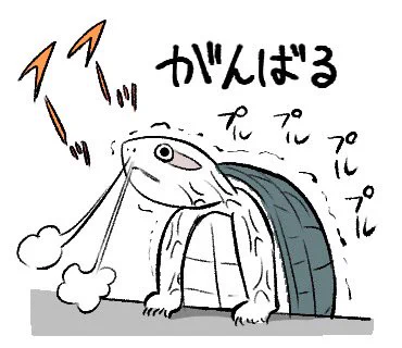 先週は、カメユの多忙により再投稿ウィークとさせていただいておりましたが、ぼちぼち新規投稿を再開します🙇
ただ、まだ忙しい時期が続いておりまして…今月中はまばらな投稿になる可能性もあります…ゆるーく楽しんでいただけたら幸いです!すみません〜〜っっ!!😭🙏 
