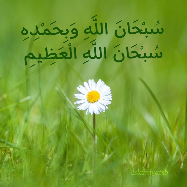 #راقت_لي #اذكار#صباح_الخير#مساء_الخير