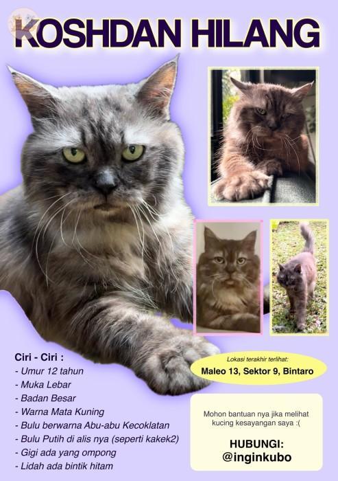 Hi semua boleh bantu RT barang kali ada yang liat kcg! ku :( terutama warga Bintaro/Tangerang Selatan &amp; sekitar nya. 

Ini Koshdan sahabatku dari SMP. Kita udh cari &amp; sebar flyer, ada yg liat Koshdan juga tp blm berhasil ketemu. Mohon bantuan nya 🙏🏼😭 terima kasih