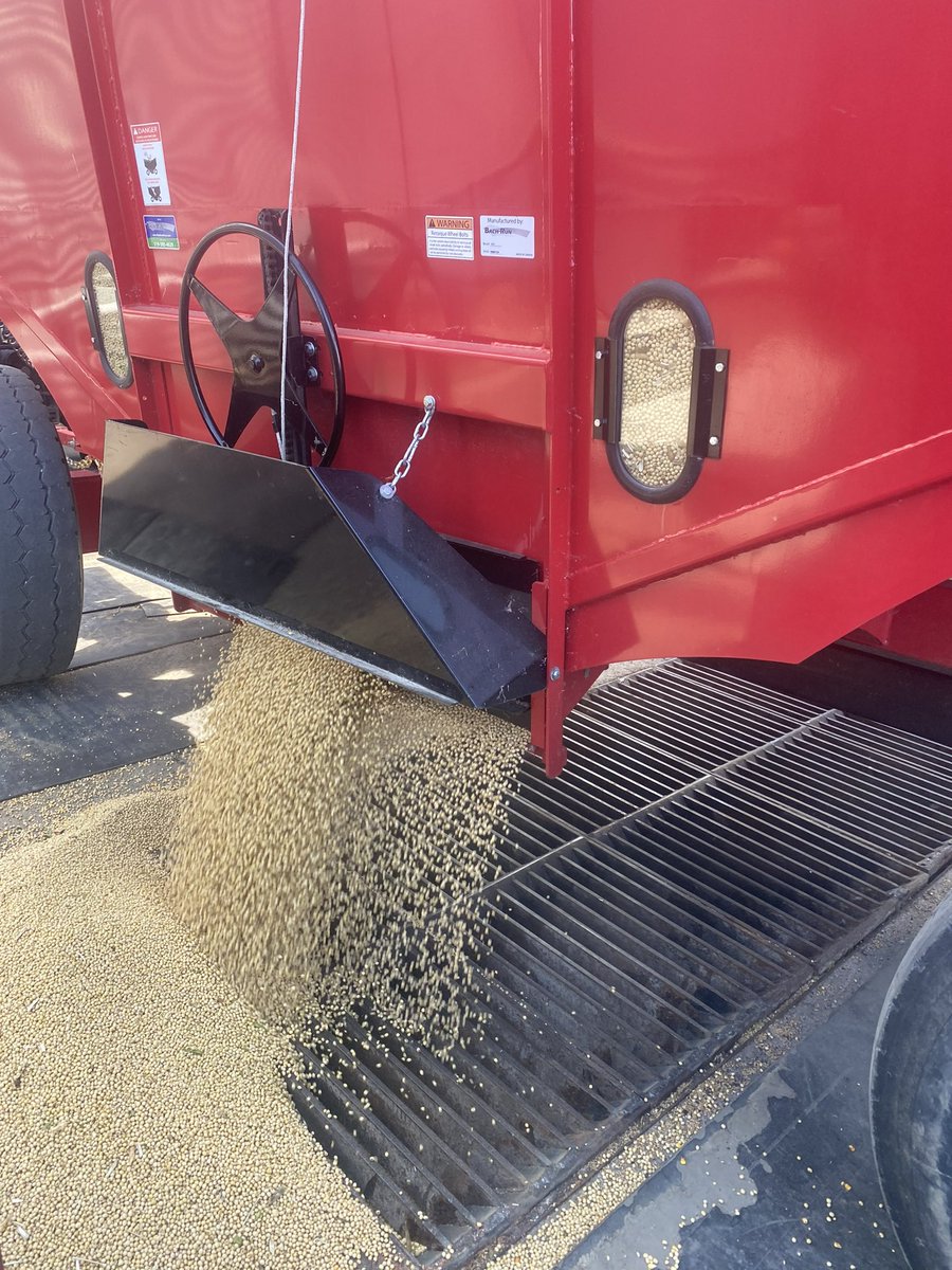 First load of soybeans into the elevator yesterday. 11% moisture. It’s go time.