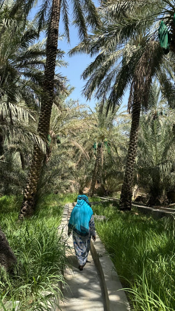 uae_parza's tweet photo. الوالدة رويّة بنت محيميد 💚 https://t.co/qAW7QKsZVH