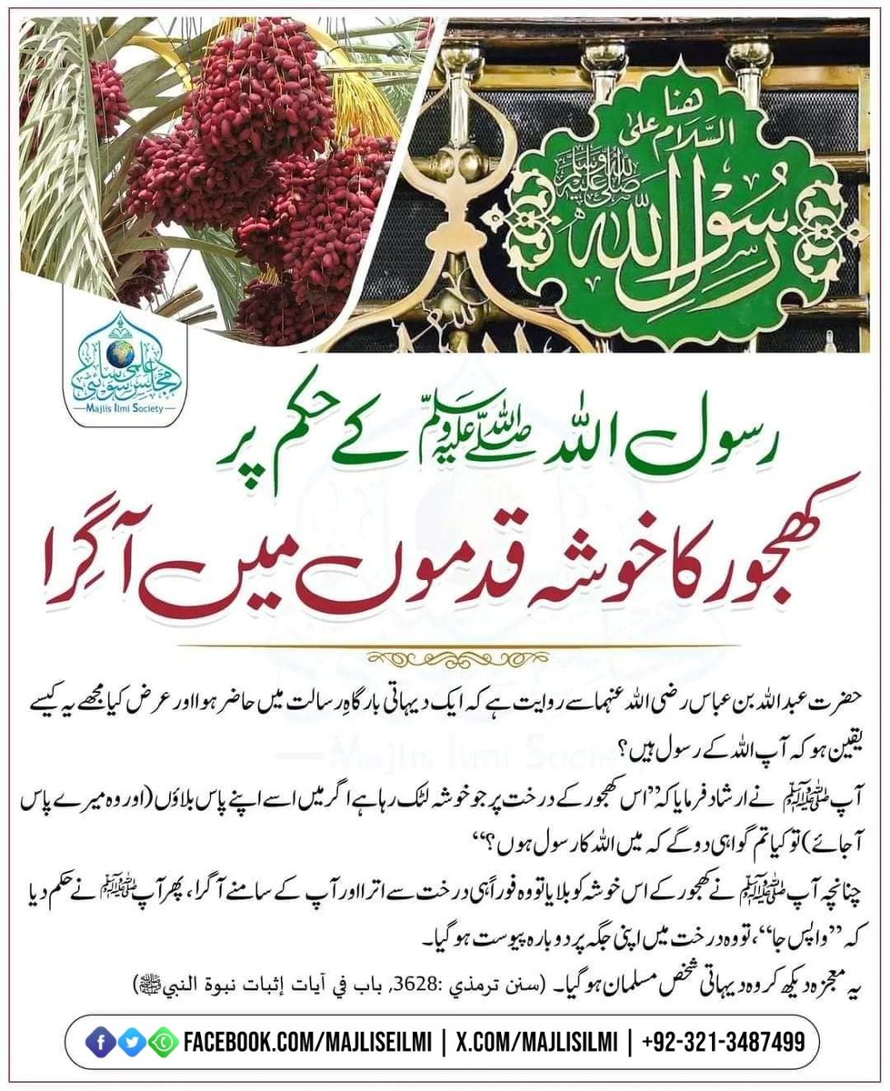 ابو مسعود tweet media