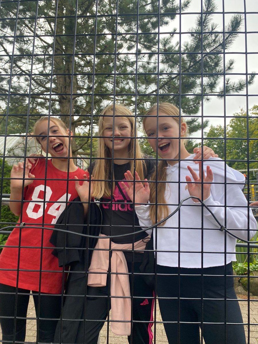 Beaumont Year 7 tweet media
