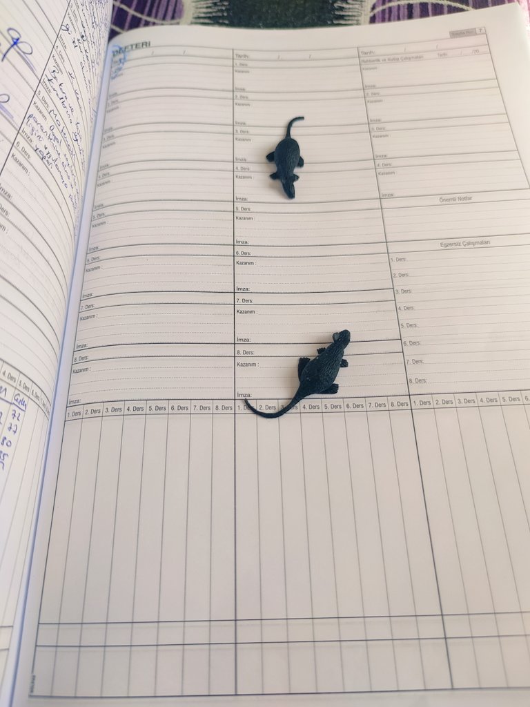 Lestu_Edri's tweet photo. Eskimeyen şakalardan 😄 https://t.co/ttD11hVPcF