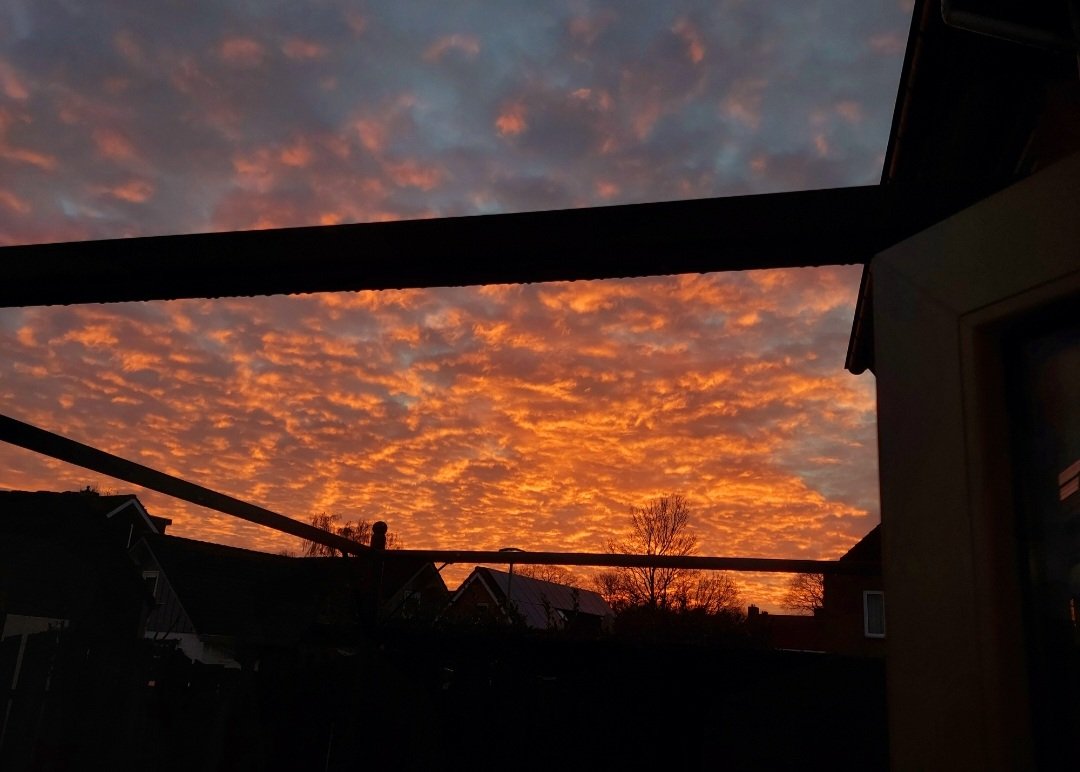 Love_books_0803's tweet photo. #30dayphotochallenge
Dag 23 woensdag 18 september.
Avondrood https://t.co/kVHaj2N4HR