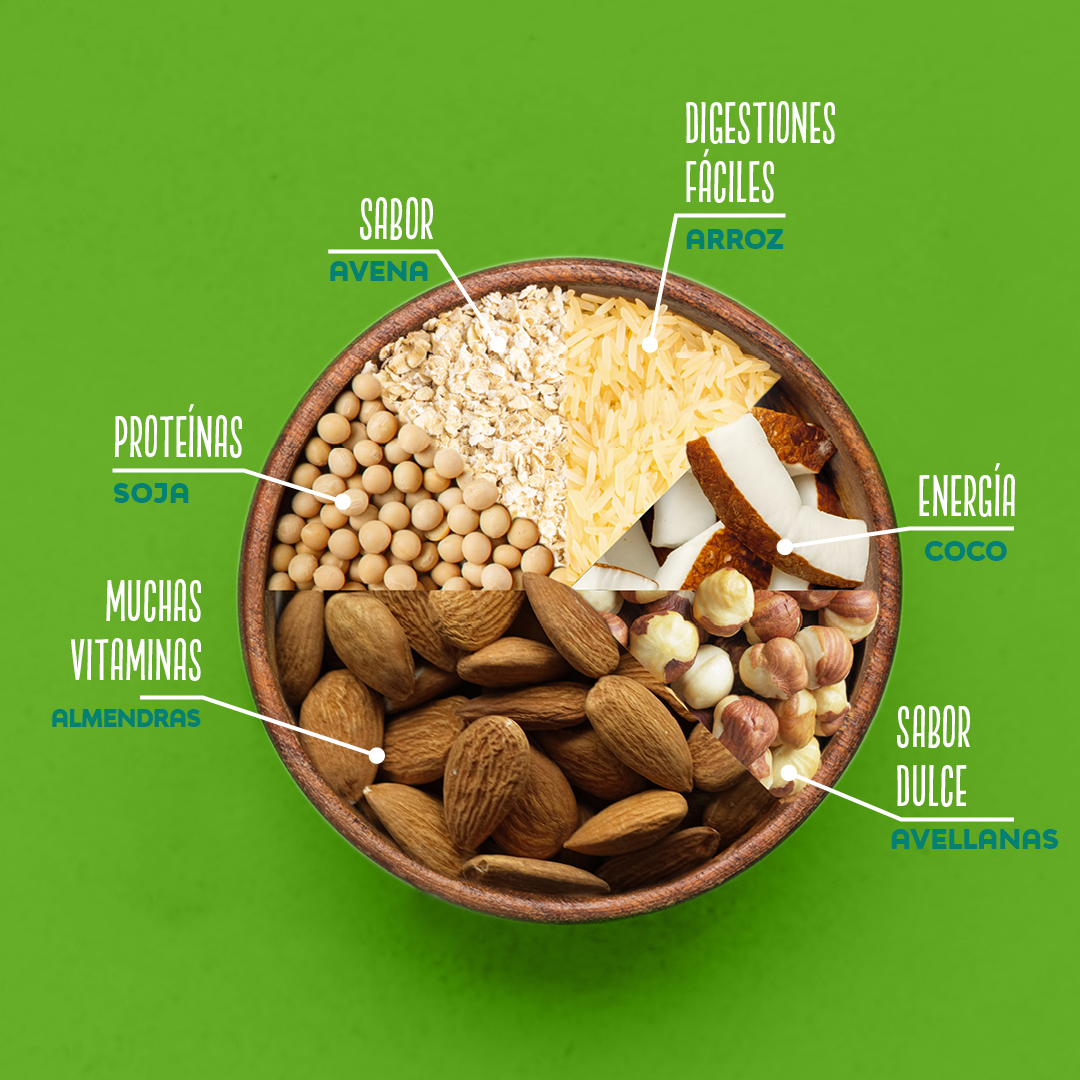 Tenemos todo lo que puedas necesitar 🌱🥛 sólo necesitas elegir la bebida vegetal que mejor se ajuste a ti 😉
#bebidasvegetales #frias #friasnutrición #vegan #govengan #veggie