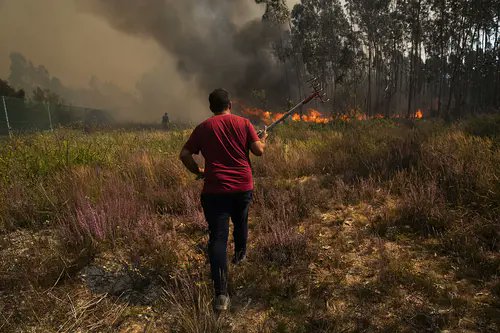 altermundo's tweet image. Se cadra hai que darlle unha voltiña ao modelo forestal portugués, e por tanto galego porque son case mesmo, non si? Insistir nas pasteiras non axuda pq foron, son e serán coadxuvantes do caos. Xa está ben!