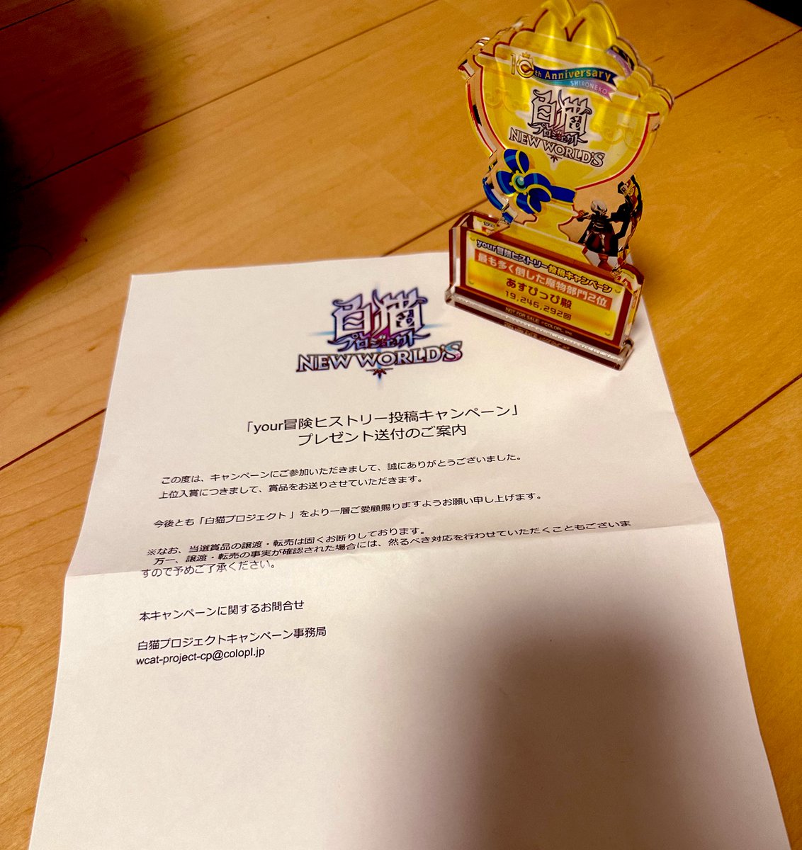 あすぴっぴ tweet media