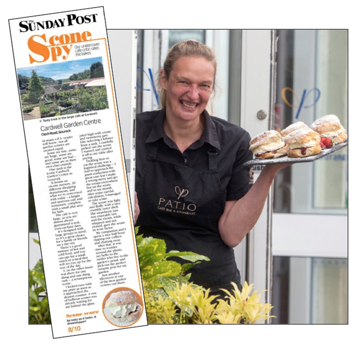 CardwellGC tweet media