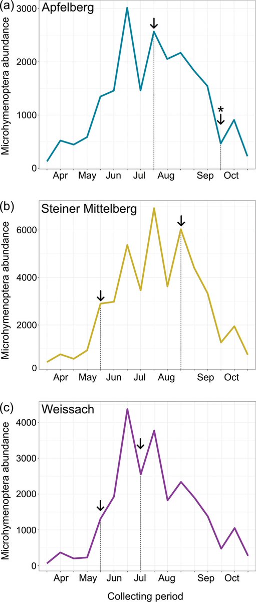 Hymenoptera Journal tweet media