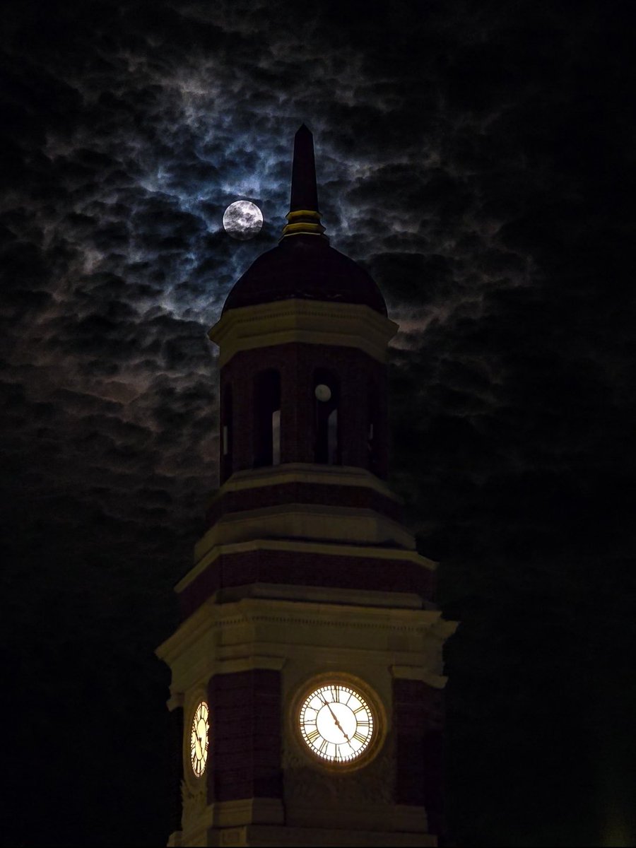 Matt Frank tweet media