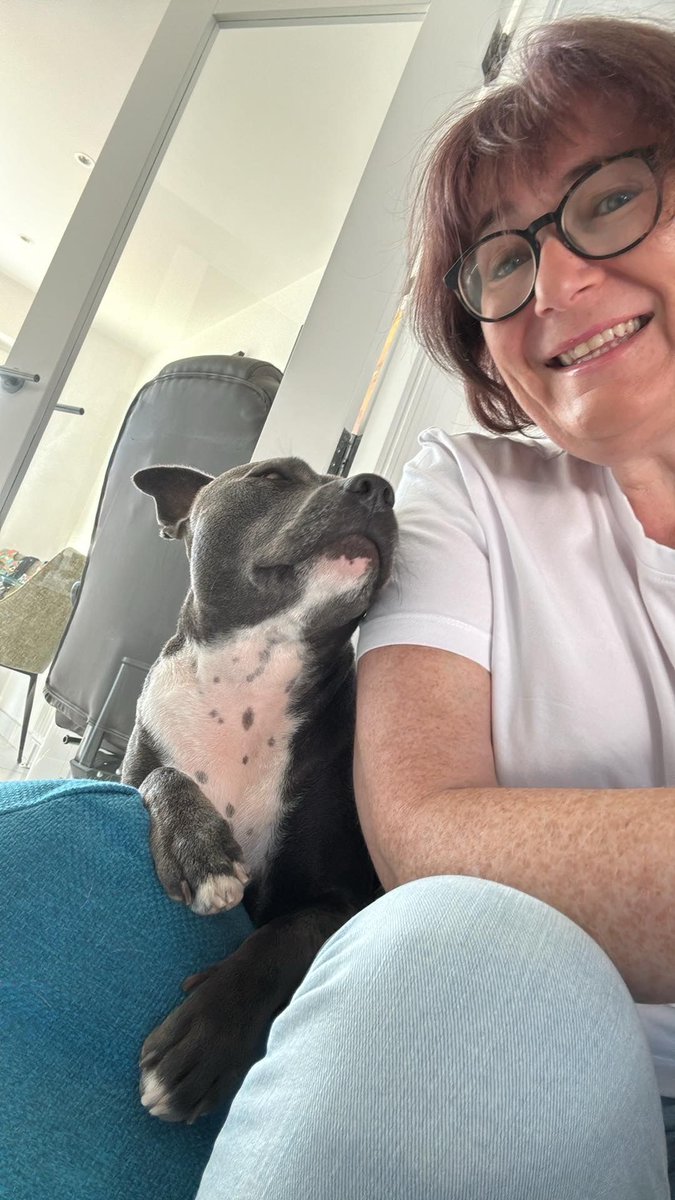 I think Izzy is planning crimes….but look how cute she is doing it!