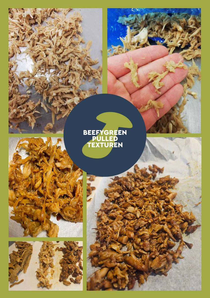 ⚡🍄😋
𝐏𝐮𝐥𝐥𝐞𝐝, 𝐬𝐥𝐢𝐜𝐞𝐝 𝐨𝐫 𝐦𝐢𝐧𝐜𝐞𝐝?

Onze oesterzwam ingrediënten komen in allerlei soorten en maten. Check ons B2B ingrediënten arsenaal op beefygreen.nl of mail mij, <a href="/drieshabraken/">Dries Habraken</a>, even (dries@beefygreen.nl).

#beefygreen #oesterzwamsteeltjes