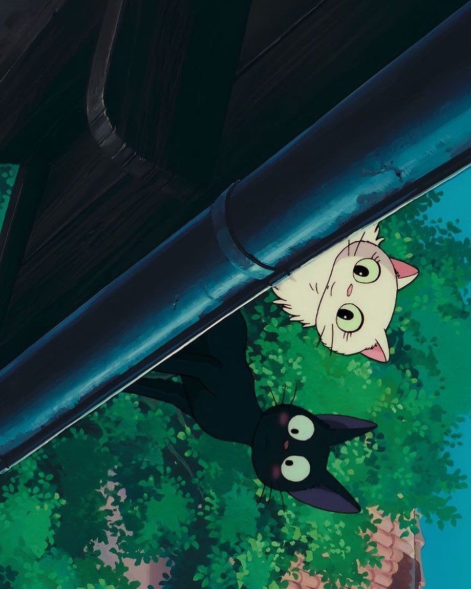 Anime Aesthetics tweet media