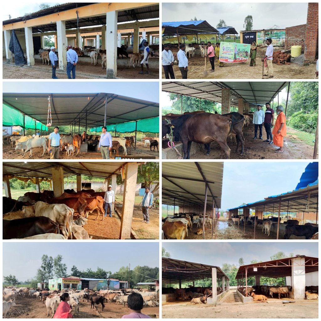 CDO Amethi tweet media