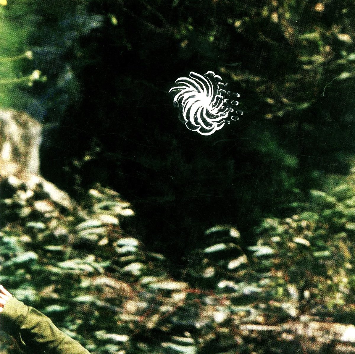 Tasos Bab tweet media