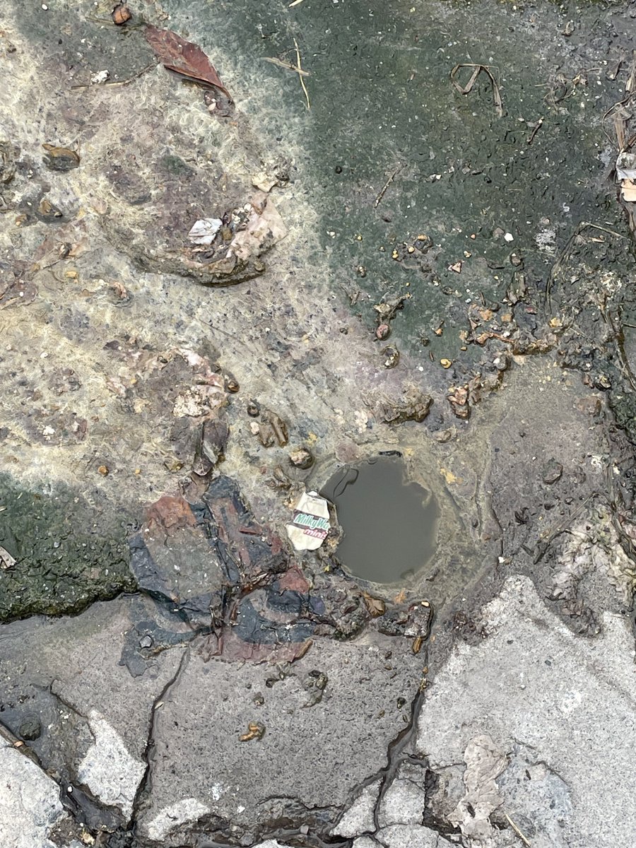 josepablo32's tweet photo. Fuga de aguas negras en Av. Hidalgo 2015 Col. Obispado. Lleva una semana y cada día el olor es peor @Cicmty @ayd_monterrey @telediariomty @mtygob https://t.co/0yEv4Owrm3