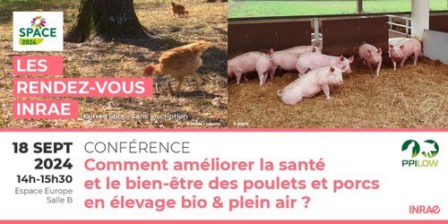 #SPACE2024 Comment améliorer la santé et le bien-être des poulets et porcs en élevage bio &amp; plein air ?
Aujourd’hui Mercredi 18 septembre - 14h/15h30 - Salle B, Espace Europe avec les chercheurs #INRAE_DPT_PHASE