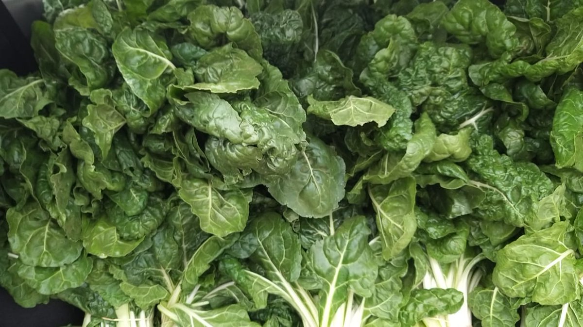 NtsieniUnaado's tweet photo. @GoompyFresh There you're right ✅️ yesterday within 36 minutes I'd 109 bunches of spinach sold out from the back of the car at taxi rank @MrMeatAndFresh doing it for the love of people #Malema #MrMeatAndFarmProduce #GrassFedBeef #FreshProduce #QualityMeat https://t.co/XrLCK2XCAG