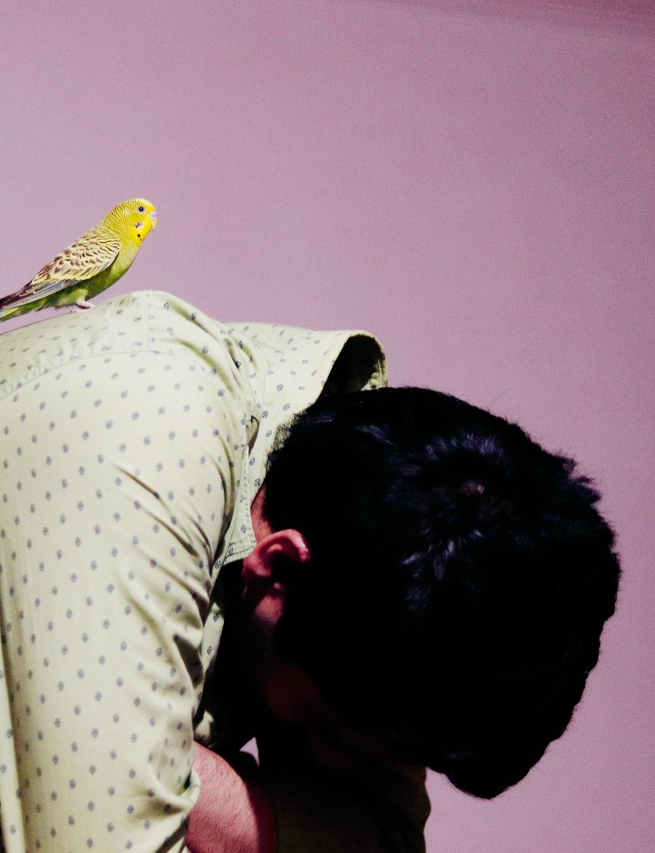 New in TANK, <a href="/izabellascott/">Izabella Scott</a> and <a href="/skyita/">skye arundhati thomas</a> discuss the strategy of communications outages, used to plunge 2 million people into digital blackout in Kashmir in 2019, and mimicked by the IOF in Gaza this year and last. Image by <a href="/herpixelstory/">Her Pixel Story</a> 

tank.tv/magazine/issue…