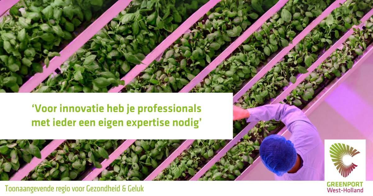 Fieldlab Vertical Farming, de ontmoetingsplek voor de toekomst van vertical #farming. Gert-Jan van Staalduinen, eigenaar <a href="/logiqs/">Logiqs B.V.</a>, vertelt in dit #interview: “…met de juiste #professionals en #samenwerking is het mogelijk.” Lees het volledige #artikel via: greenportwestholland.nl/voor-innovatie…