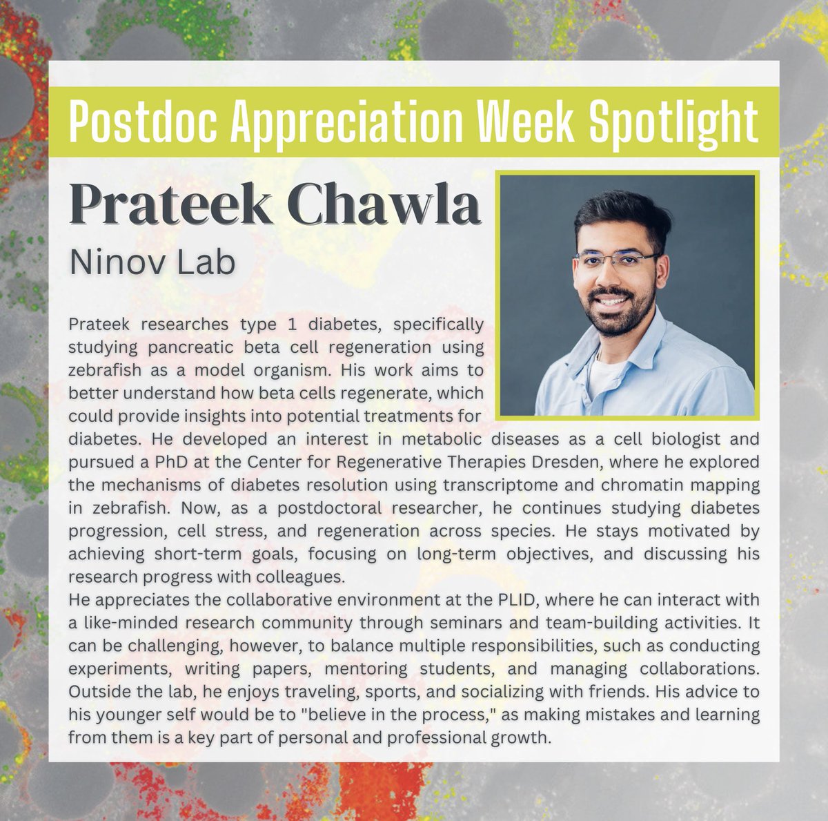 Paul Langerhans Institute Dresden - PLID (@plid_info) on Twitter photo Today’s #PAWde Spotlight is <a href="/ChawlaPrateek03/">Prateek Chawla, PhD</a> in the lab of Nikolay Ninov.
Read more about Prateek and his work here: t1p.de/1t9f3 Today’s #PAWde Spotlight is <a href="/ChawlaPrateek03/">Prateek Chawla, PhD</a> in the lab of Nikolay Ninov.
Read more about Prateek and his work here: t1p.de/1t9f3