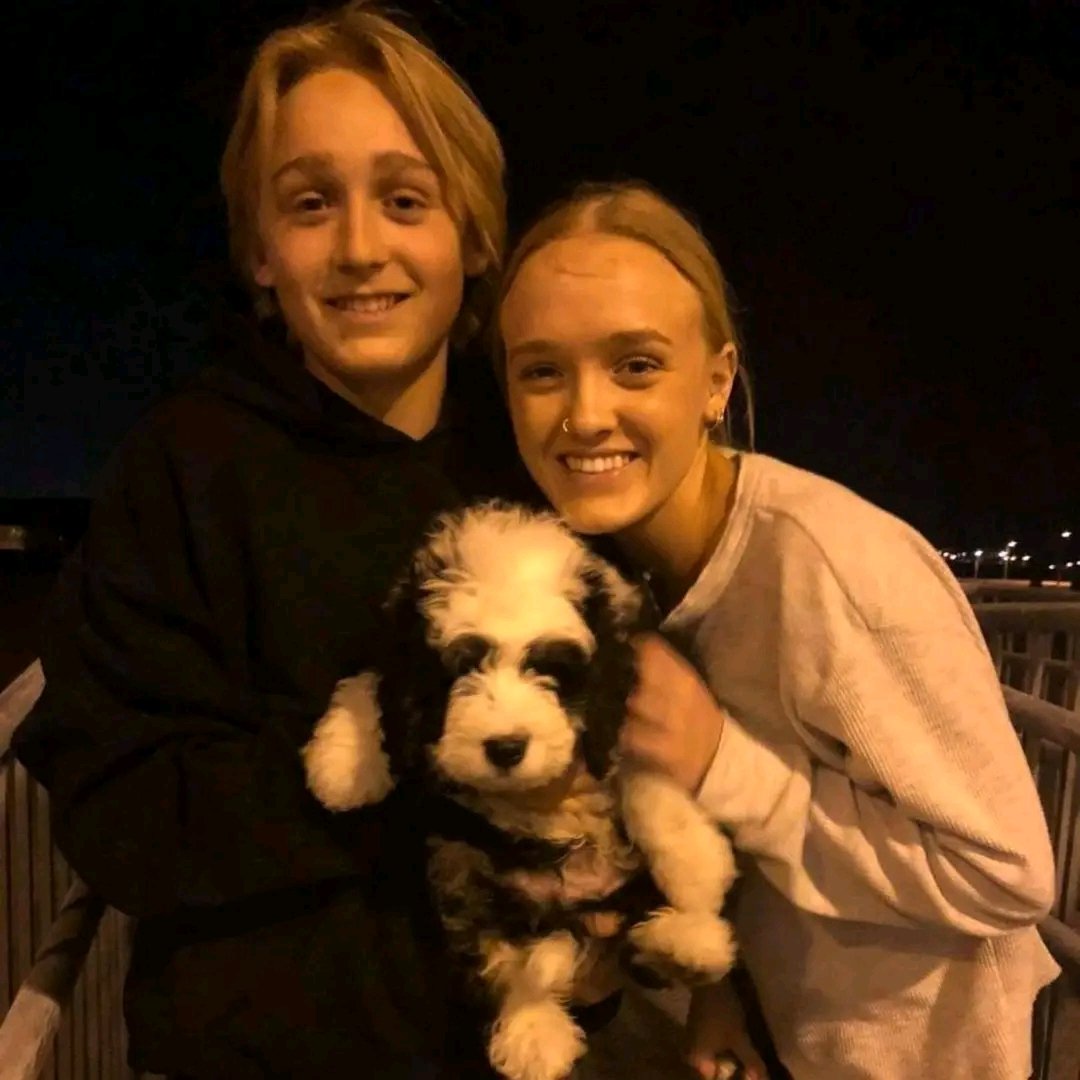 happy family 🐶