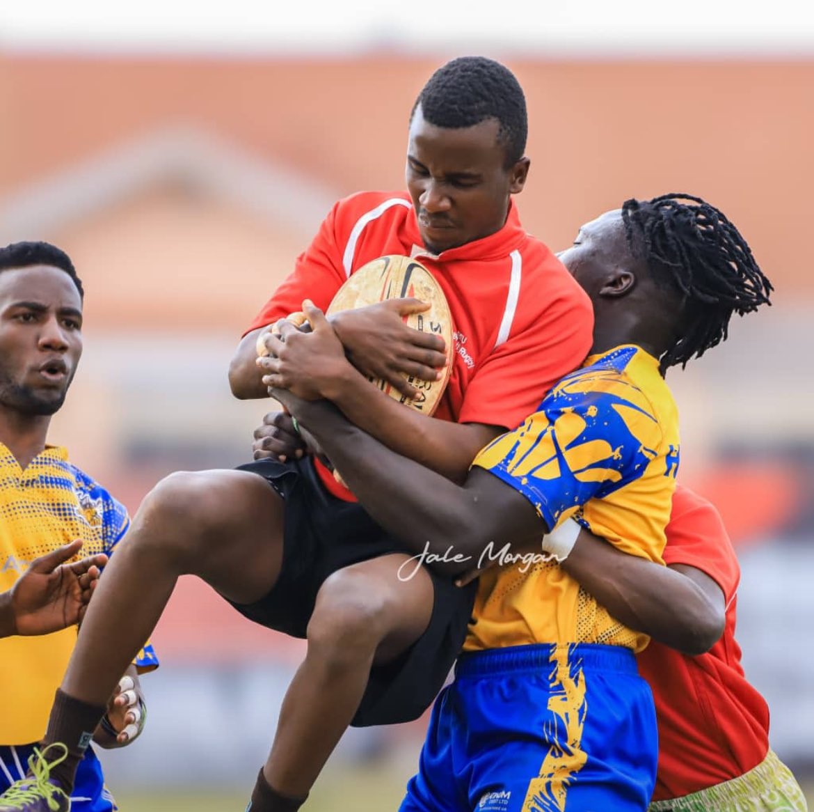 Rayan ahmed tweet media