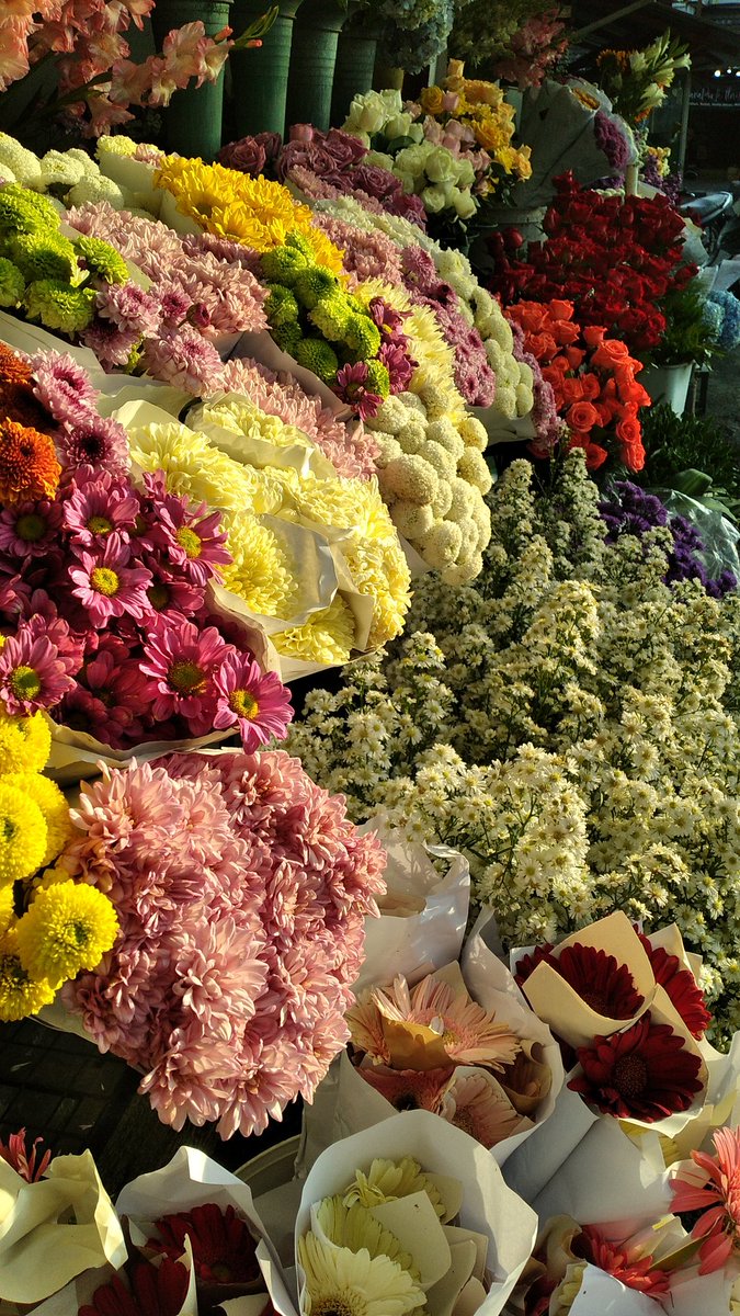 skypyou's tweet photo. https://t.co/h2XhruvOqj