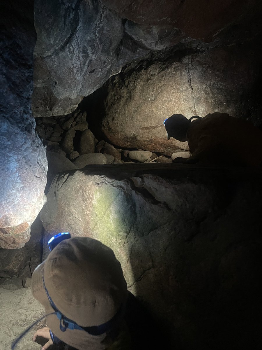 Sneaky Media Group tweet media