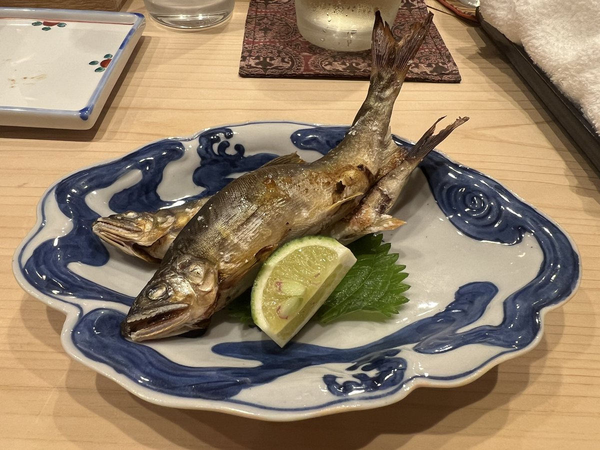 mi_rin0914's tweet photo. 🐟 https://t.co/rRwPoVy00U