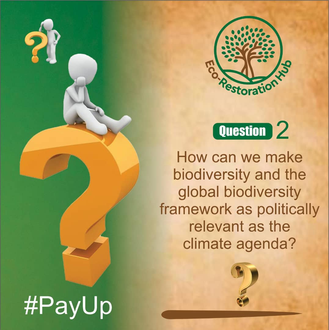 Eco-Restoration Hub tweet media