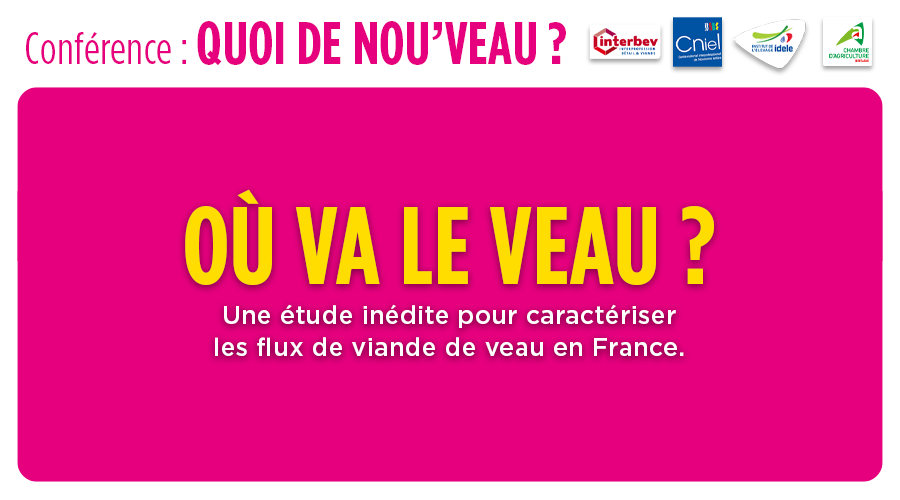 [Où va le Veau ? - #SPACE2024]
Présentation des résultats de l’étude inédite « Où va le Veau ? », qui caractérise les flux et les débouchés de la #viande de #veau en France.