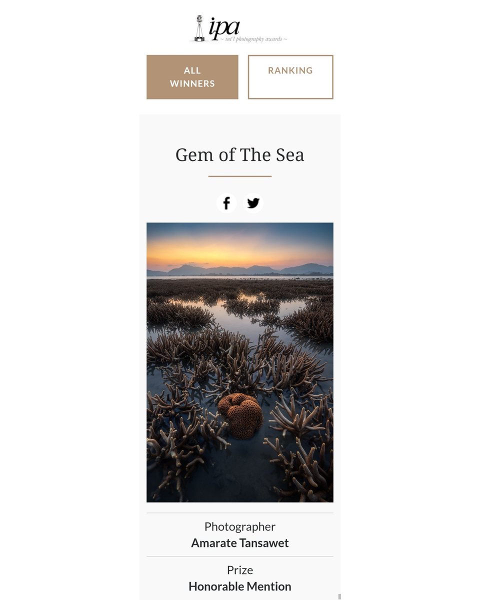 GiftOfLight's tweet photo. 3 honorable mention prizes from 3  professional categories/subcategories of International Photography Awards 2024 🥳

Architecture : Building
Nature : Landscape
Nature : Trees

#IPA2024 #nature #architecture #landscape #trees https://t.co/rb8scrlYHk