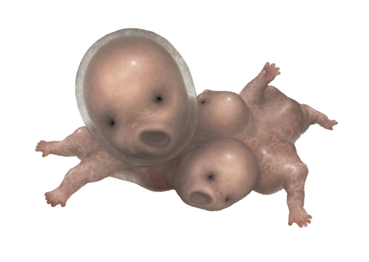 怖いバーコード tweet media