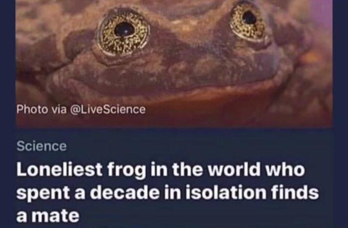 Fomo Frog is about to leap onto Pump.fun SOON™️. 

Get your frogs in a row, it’s gonna be ribbiting! 😏

#Frog