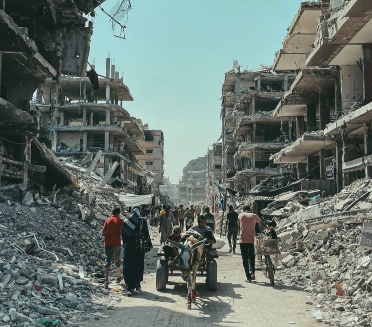 Muhammad in Gaza🇵🇸⚡️ tweet media