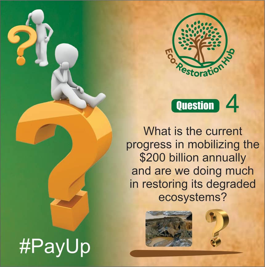 Eco-Restoration Hub tweet media