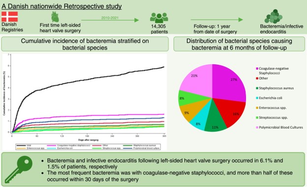RigsHeart 🫀🚨 (@rigsheart) on Twitter photo 📢Now in <a href="/ESC_Journals/">European Society of Cardiology Journals</a> #EHJQCCO
This 🇩🇰nationwide registry study found that 1y cumulative incidence of bacteremia following left-sided valve surgery was 6.1%, most frequently related to coagulase-negative staphylococci (27%).
<a href="/EmilFosb/">Emil Fosbøl</a> <a href="/HaversEva/">Eva Havers-Borgersen</a> <a href="/KhadjiMD/">Katra Hadji</a> <a href="/AnnaStahltba/">Anna Stahl</a> 📢Now in <a href="/ESC_Journals/">European Society of Cardiology Journals</a> #EHJQCCO
This 🇩🇰nationwide registry study found that 1y cumulative incidence of bacteremia following left-sided valve surgery was 6.1%, most frequently related to coagulase-negative staphylococci (27%).
<a href="/EmilFosb/">Emil Fosbøl</a> <a href="/HaversEva/">Eva Havers-Borgersen</a> <a href="/KhadjiMD/">Katra Hadji</a> <a href="/AnnaStahltba/">Anna Stahl</a>