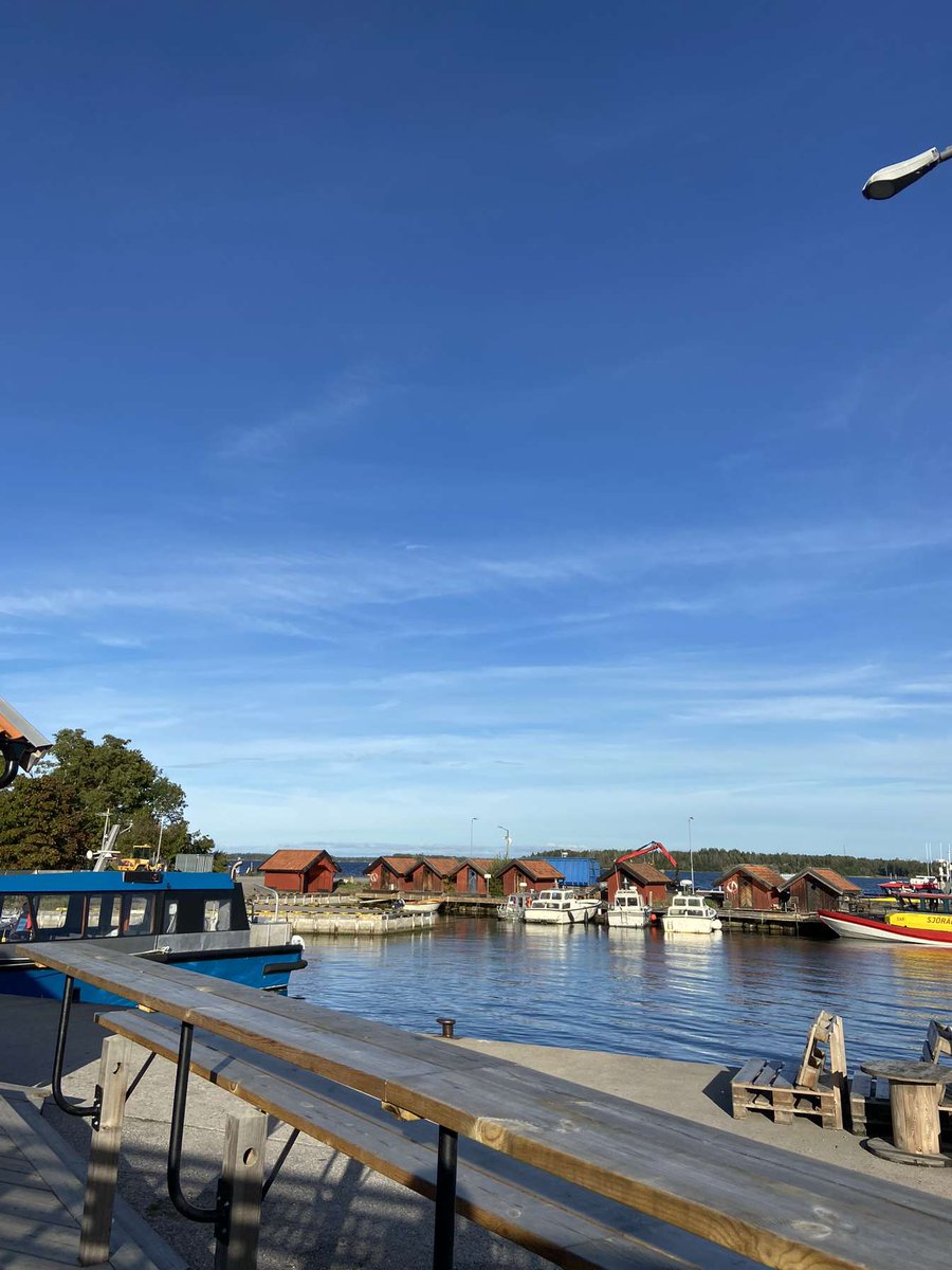 Shacozzi's tweet image. Late summer is peak