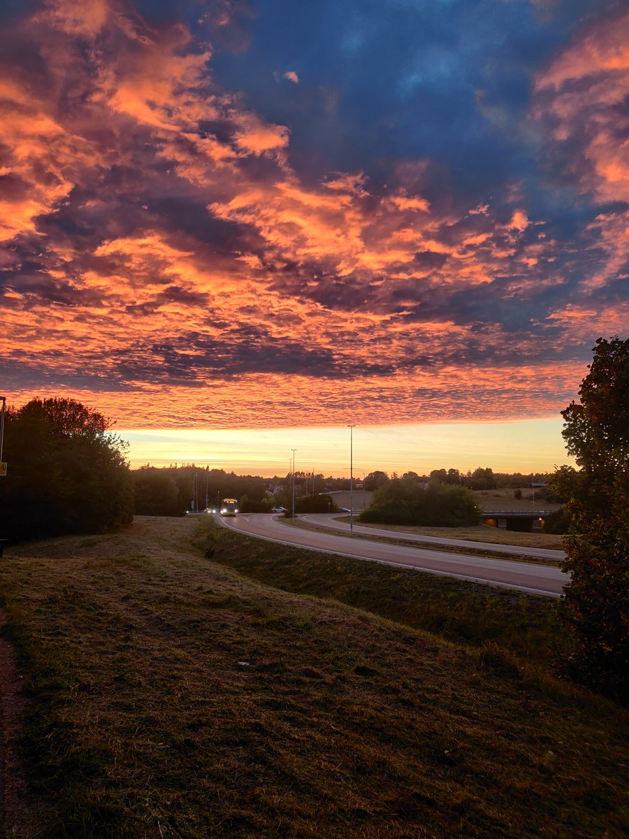 Shacozzi's tweet image. Late summer is peak