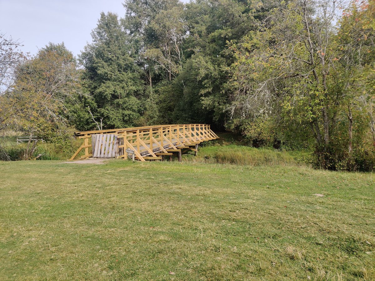 Shacozzi's tweet image. Late summer is peak