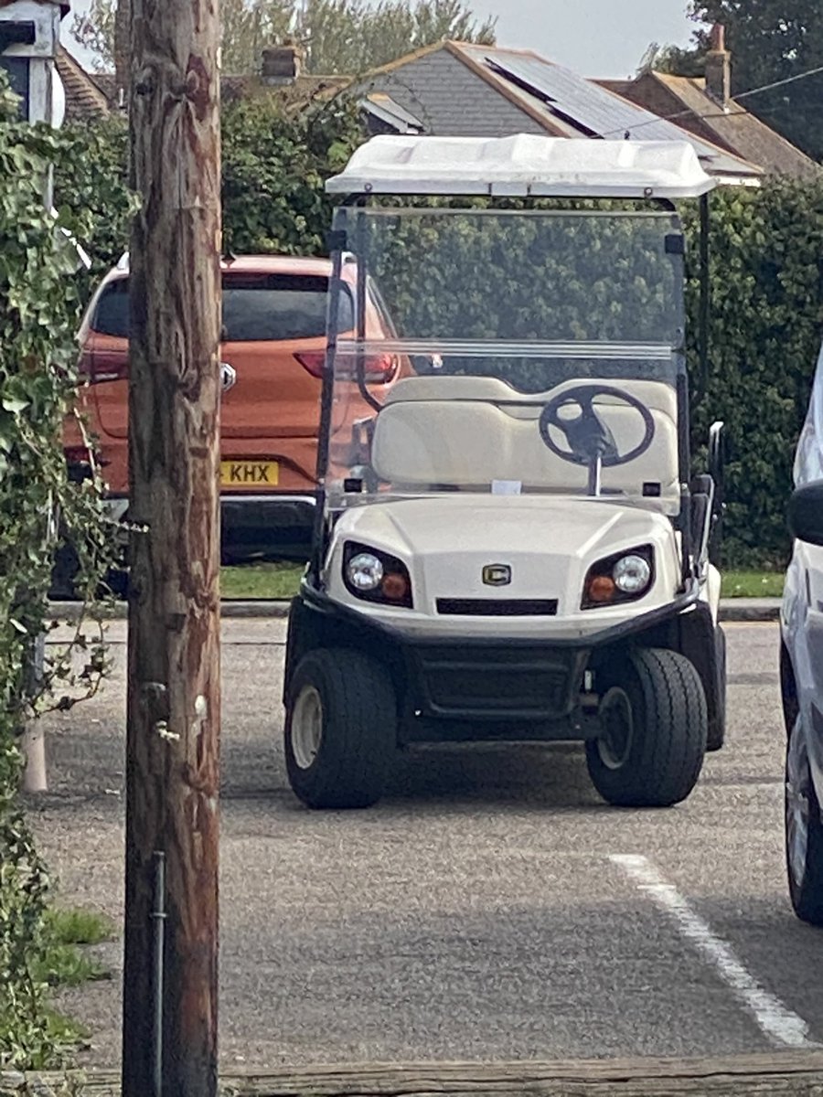 Found a small buggy which looks like a Pokémon