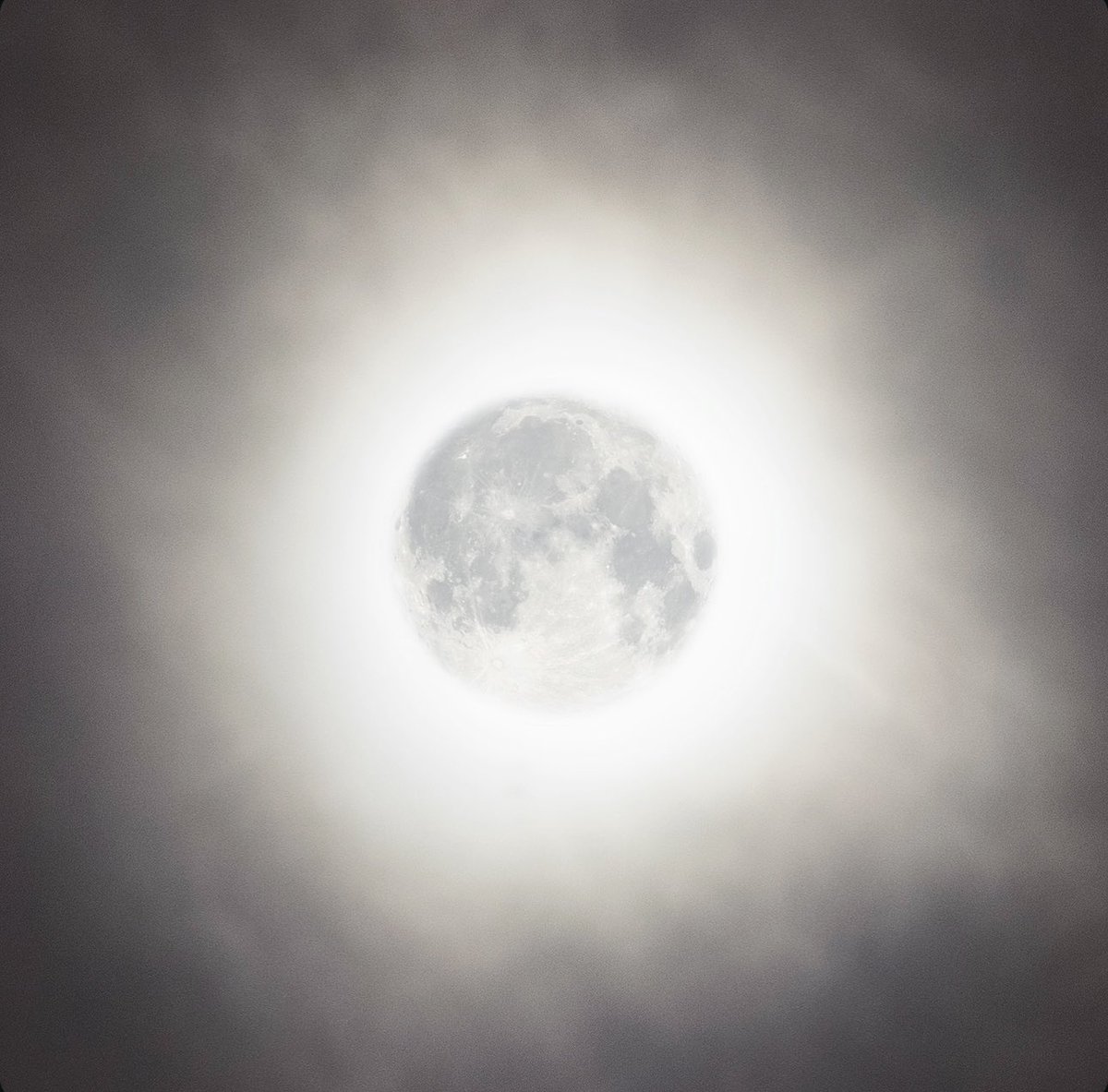Did you catch a glimpse of the moon last night? Here’s a pic I took last night! #Moon #Supermoon #HarvestMoon