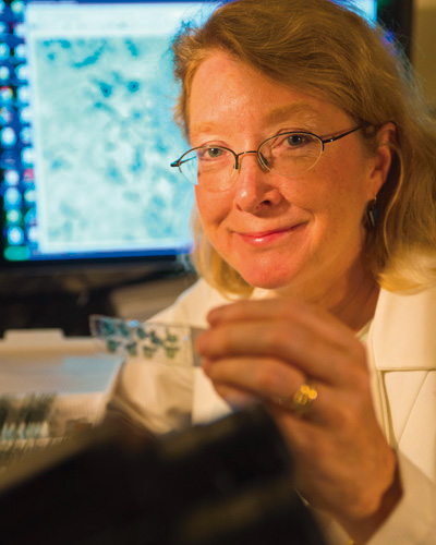 Peg McCarthy, pharmacology professor, discusses new finding on pregnancy changing the brain, but says it likely shows refinement, not a loss: Animal research suggests "the hormonal milieu of pregnancy changes the brain to prepare it for motherhood.” ow.ly/fBg150TpBXC