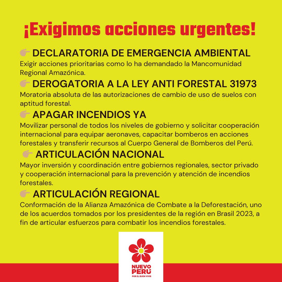🚨 Exigimos acciones urgentes para detener los #IncendiosForestales:

👉🏽Declaratoria de emergencia ambiental
👉🏽Derogatoria de la Ley Anti Forestal 31973

#SalvemosLaAmazonía
#DinaAsesinaDeNuestraBiodiversidad 

🧵2/2
