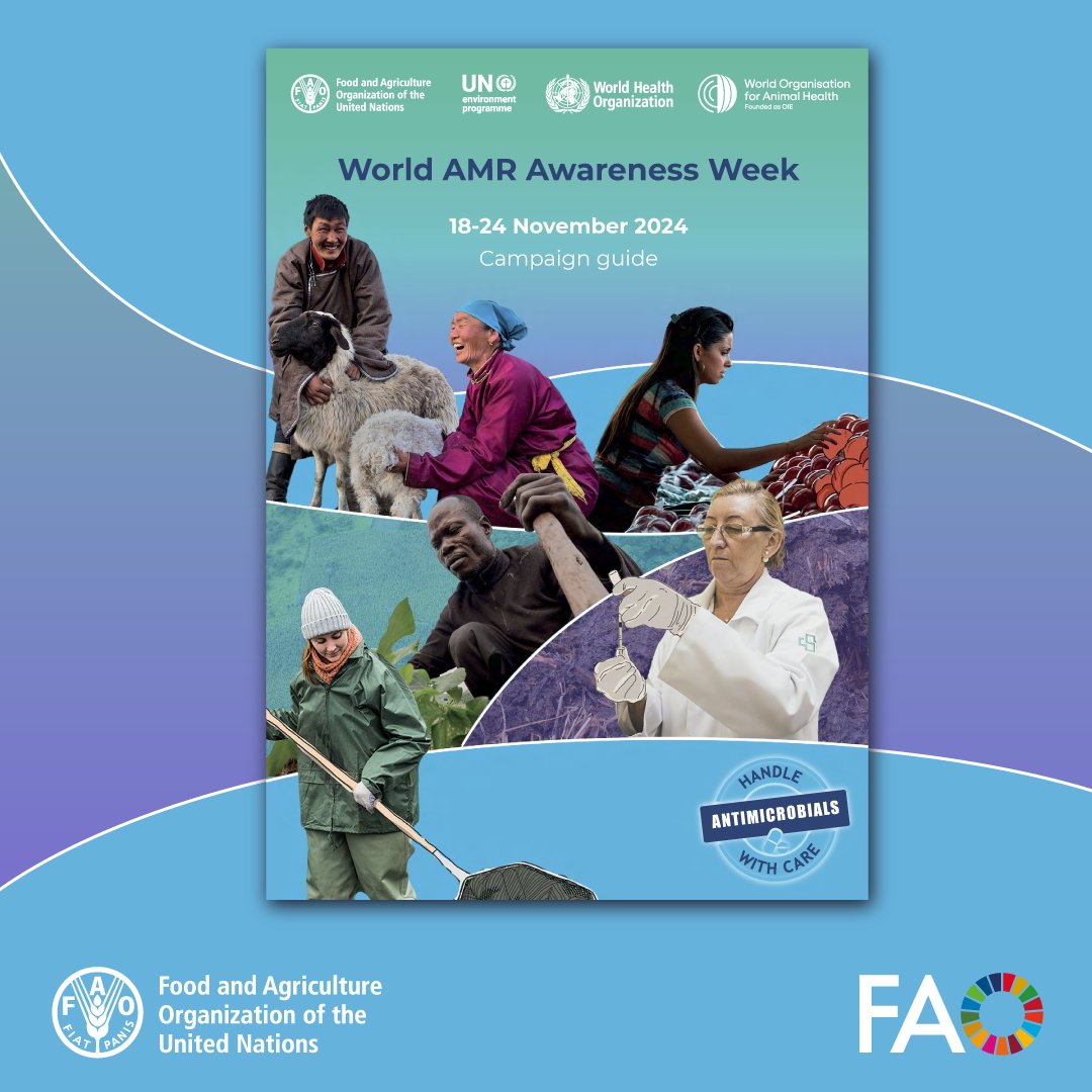 FAOLivestock's tweet image. ⏰Get ready for World #AMR Awareness Week 2024!
Check out the newly published campaign guide and learn how to get involved in our joint efforts to tackle #AntimicrobialResistance 💊💪
🔗: openknowledge.fao.org/handle/20.500.…