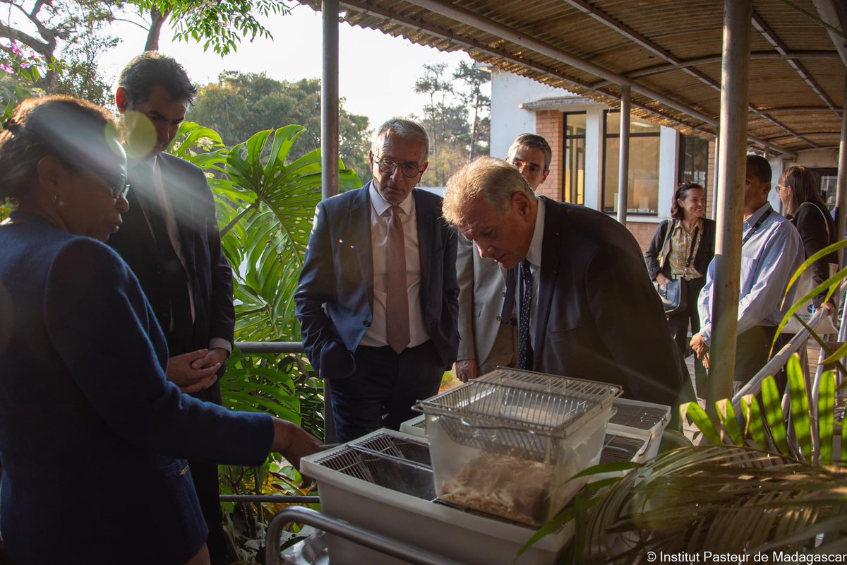 Institut Pasteur Madagascar🇲🇬 tweet media
